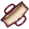 imageMichael Kors Scarlett ExtraSmall Crossbody BagGoldtone HardwareDeep Red