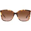 imageMichael Kors Womens MK2169 Avellino Square SunglassesAmber TortoiseBrown Gradient